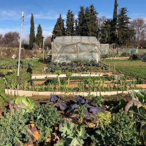 Metropolitan Agriculture and Nature-based solutions Summary
