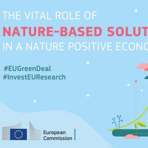 THE VITAL ROLE OF NATURE-BASED SOLUTIONS  IN A NATURE POSITIVE ECONOMY