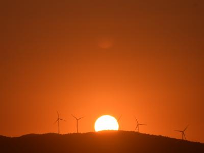 Entry 10 - Wind Generators