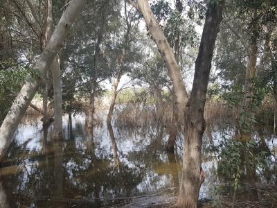 Nicosia Public Event © Eleftherios Loizou