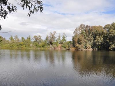 Nicosia Public Event © Marcus Collier