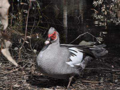 Nicosia Public Event © Marcus Collier