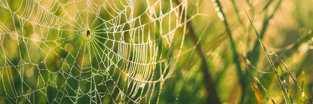 © Aaron Burden, Unsplash