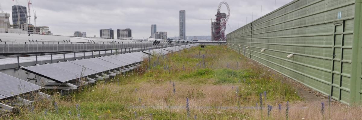 Nature-based solution - bio-solar roof, London Olympic Park