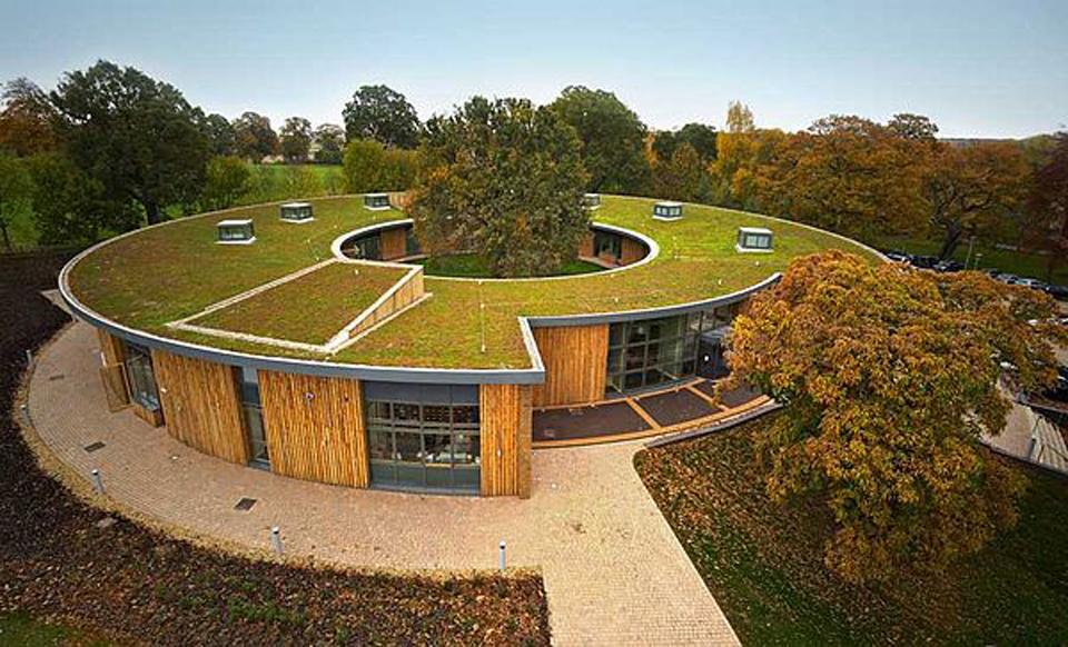 A green roof replaces traditional black or shingled roofs with a living, breathing, heat-busting surface.  Wikimedia Commons