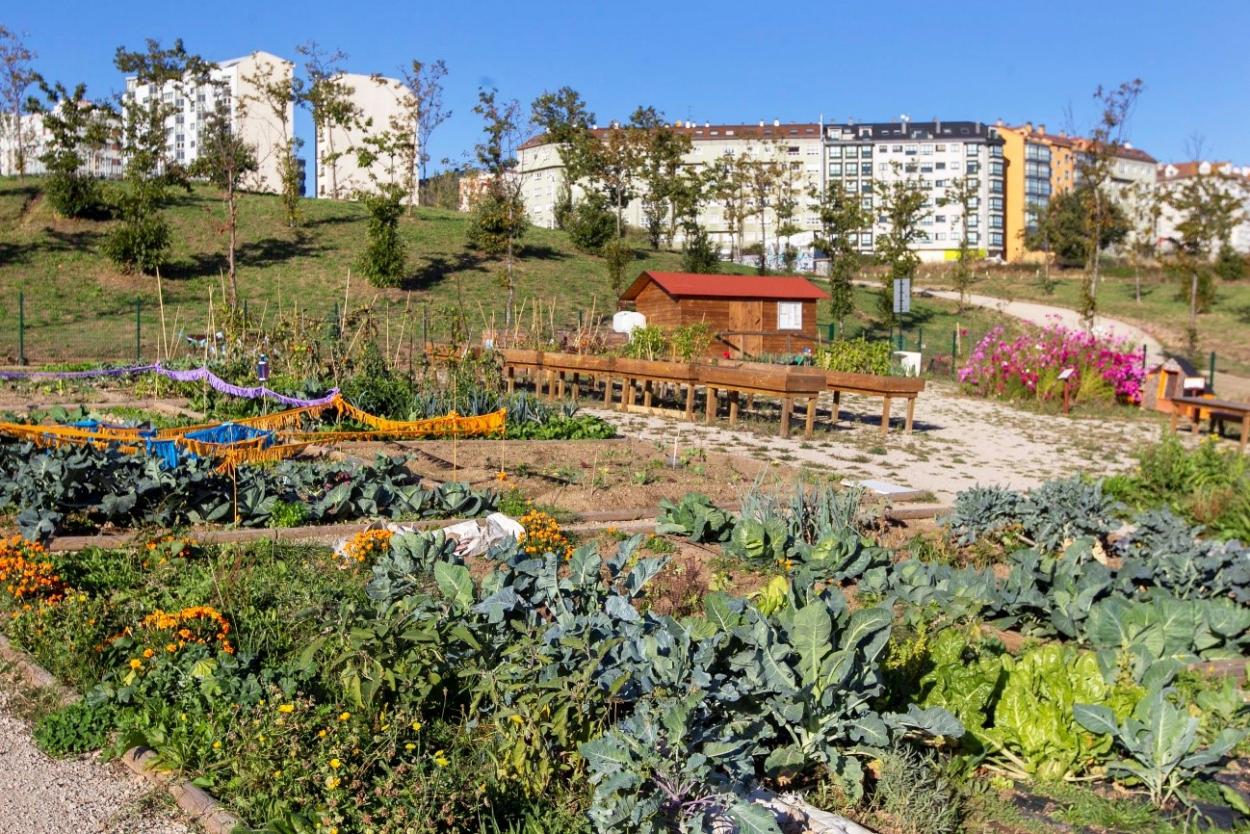 Picture: urban organic garden in the Eiris Park in A Coruña  